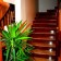 Liva Suite Hotel